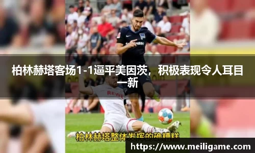 LD乐动官网
