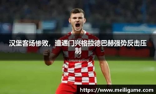 LD乐动官网