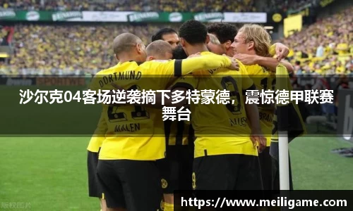 LD乐动官网