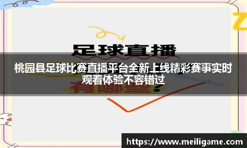 LD乐动官网