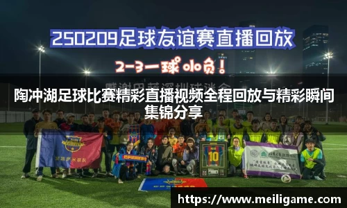 陶冲湖足球比赛精彩直播视频全程回放与精彩瞬间集锦分享