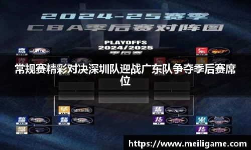 常规赛精彩对决深圳队迎战广东队争夺季后赛席位
